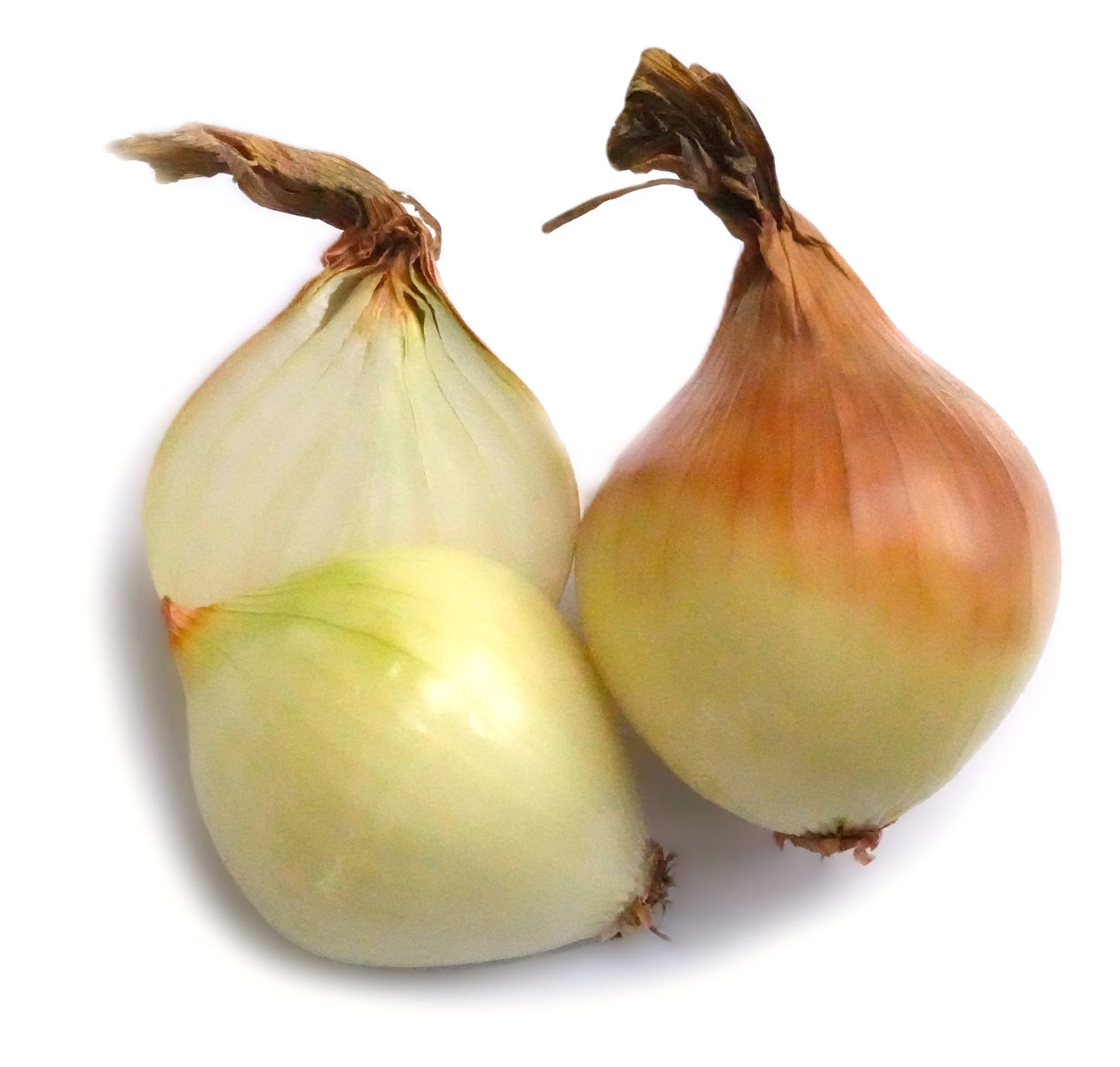 Ceapă galbenă ECO - 750g